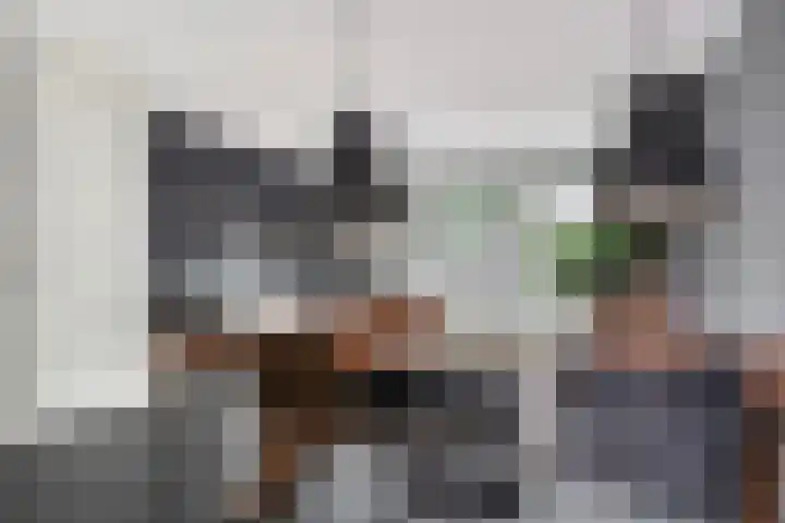 Zeelststraat 8 Tilburg thumbnail 5