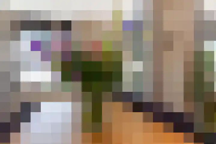 Zeelt 100 Alblasserdam thumbnail 10