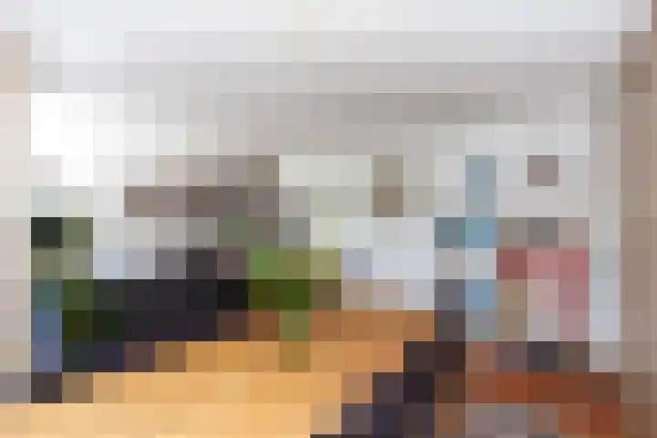 Zeelt 100 Alblasserdam thumbnail 11