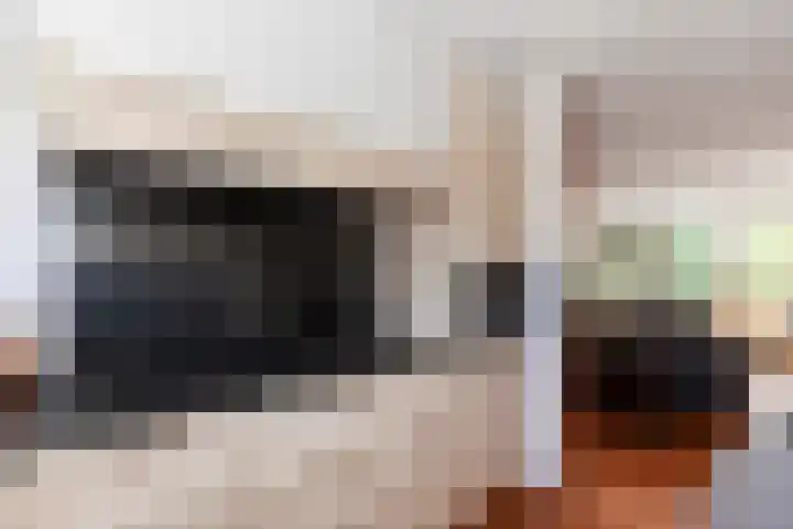 Zeelt 100 Alblasserdam thumbnail 13