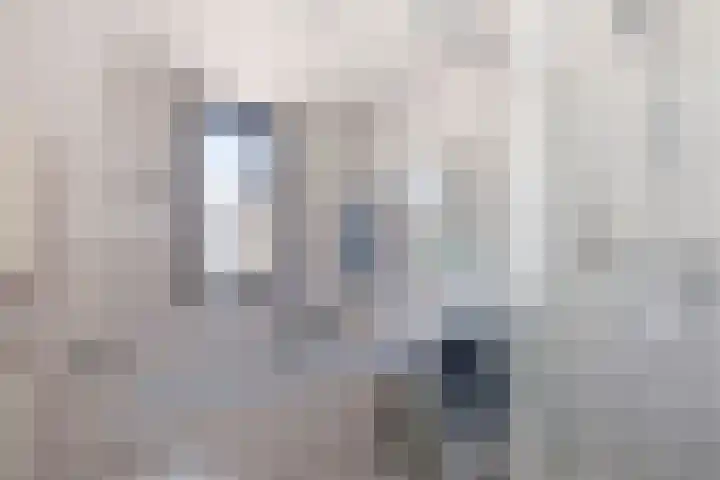 Zeelt 100 Alblasserdam thumbnail 21