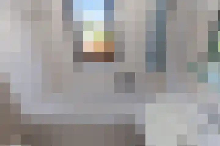 Zeelt 100 Alblasserdam thumbnail 22