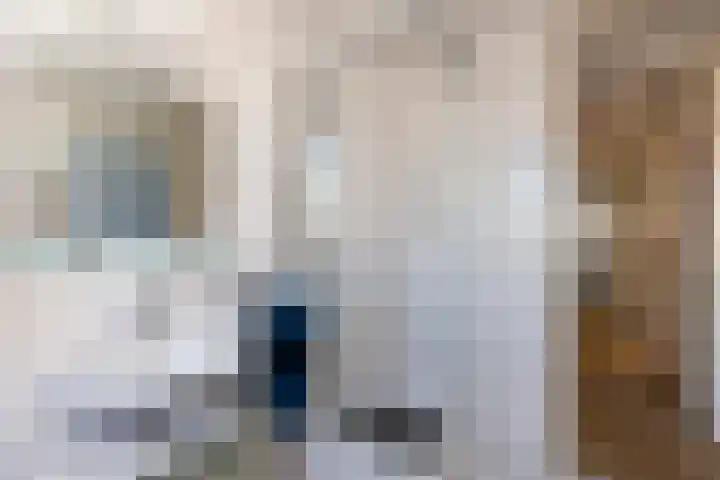 Zeelt 100 Alblasserdam thumbnail 23