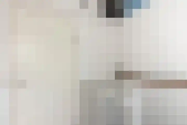 Zeelt 100 Alblasserdam thumbnail 25