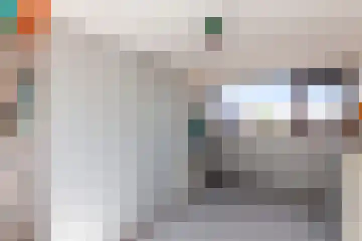 Zeelt 100 Alblasserdam thumbnail 26