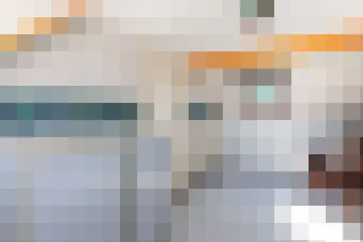Zeelt 100 Alblasserdam thumbnail 27