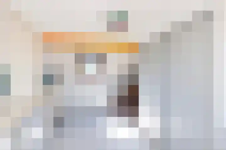 Zeelt 100 Alblasserdam thumbnail 28
