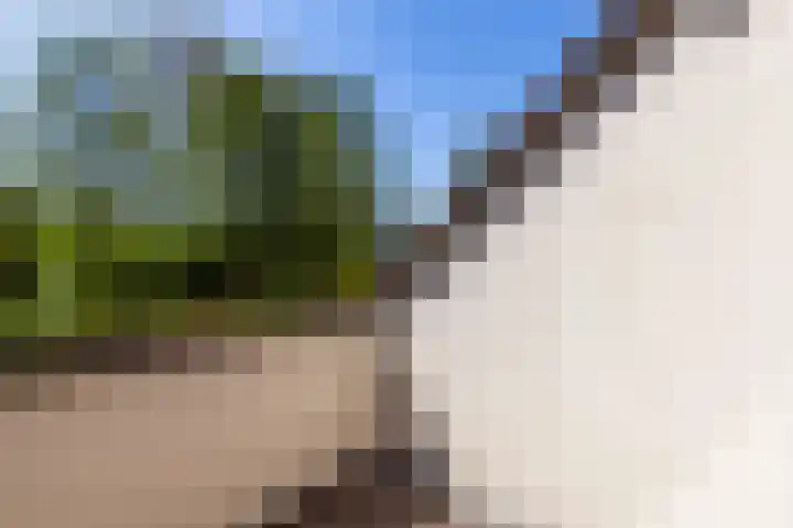 Zeelt 100 Alblasserdam thumbnail 31