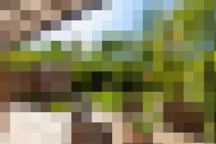 Zeelt 100 Alblasserdam thumbnail 33