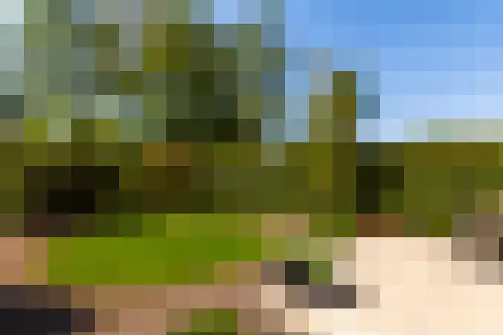 Zeelt 100 Alblasserdam thumbnail 34