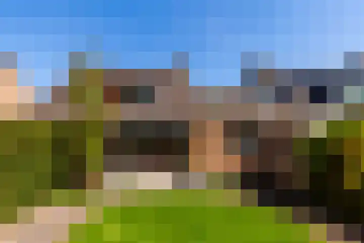 Zeelt 100 Alblasserdam thumbnail 35