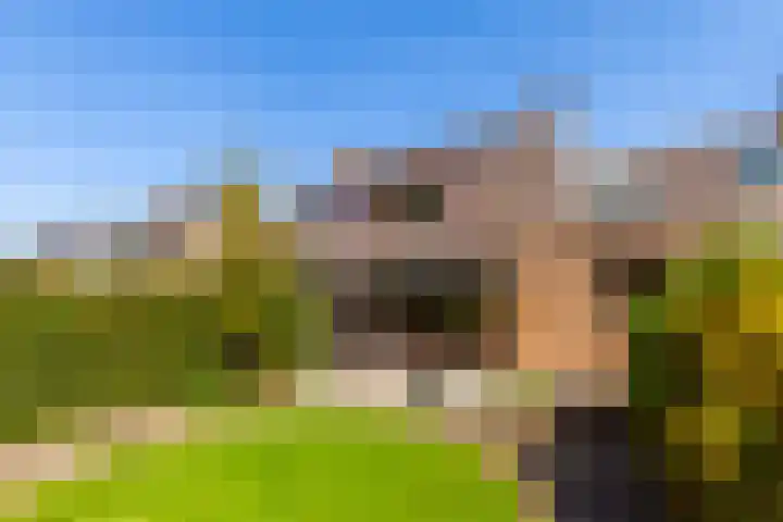 Zeelt 100 Alblasserdam thumbnail 36