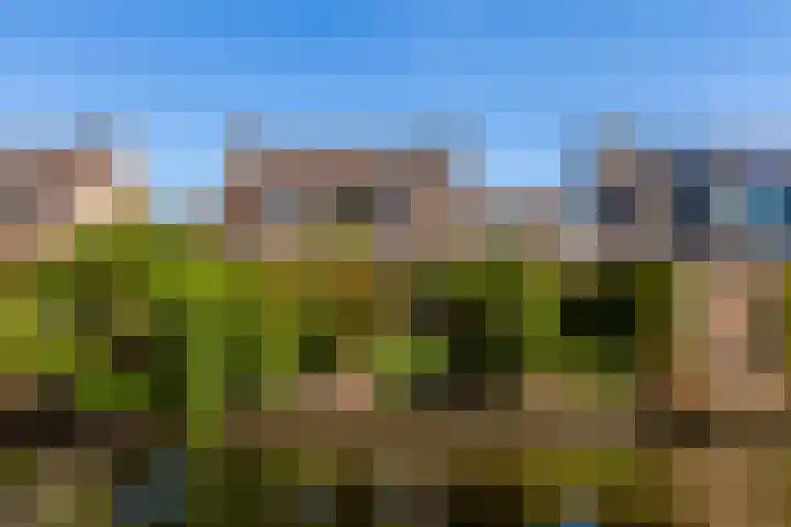 Zeelt 100 Alblasserdam thumbnail 37