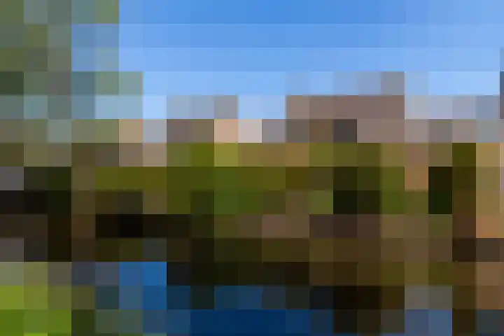 Zeelt 100 Alblasserdam thumbnail 38