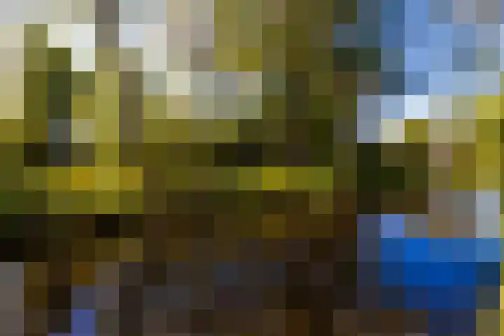 Zeelt 100 Alblasserdam thumbnail 40
