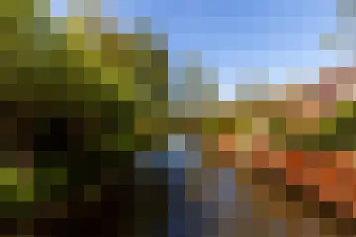 Zeelt 100 Alblasserdam thumbnail 41