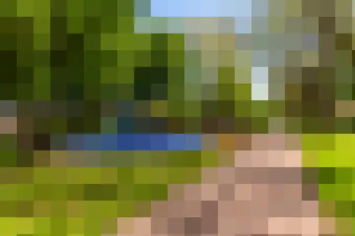 Zeelt 100 Alblasserdam thumbnail 42