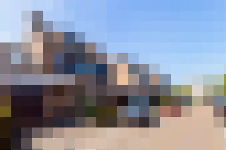 Zeelt 100 Alblasserdam thumbnail 43