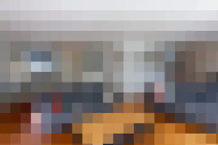 Zeelt 100 Alblasserdam thumbnail 5
