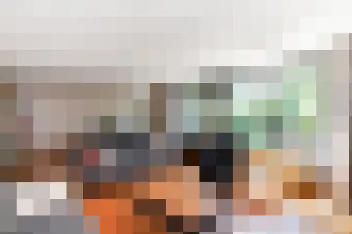 Zeelt 100 Alblasserdam thumbnail 6
