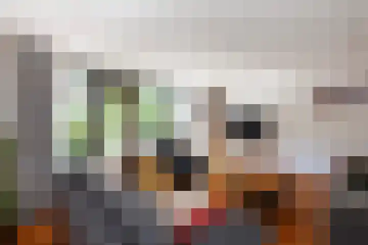 Zeelt 100 Alblasserdam thumbnail 7