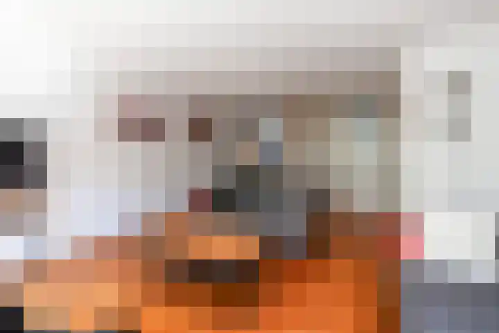 Zeelt 100 Alblasserdam thumbnail 8