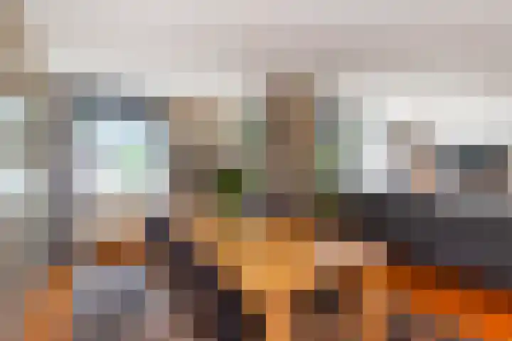 Zeelt 100 Alblasserdam thumbnail 9