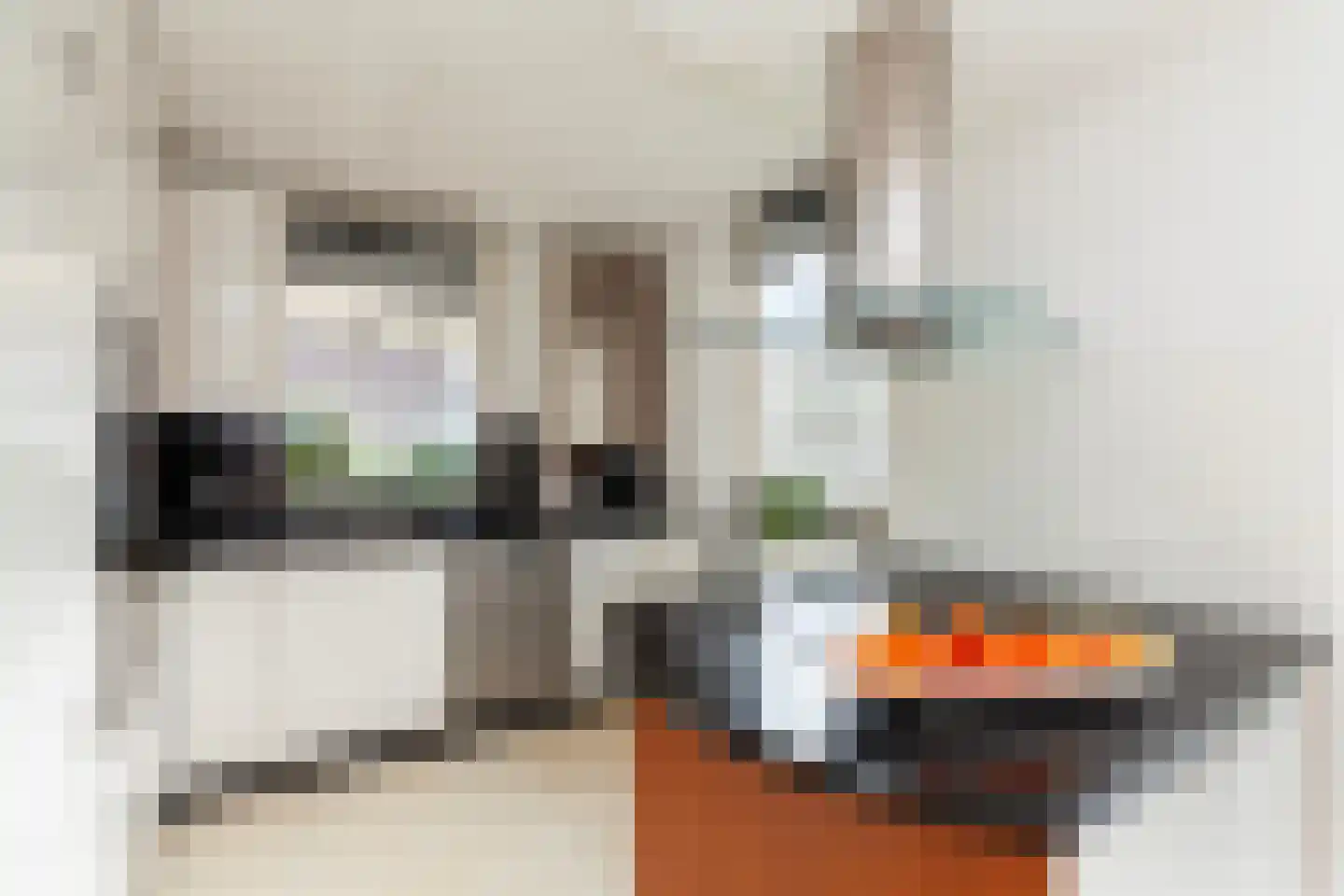 Zeelt 120 Alblasserdam thumbnail 19