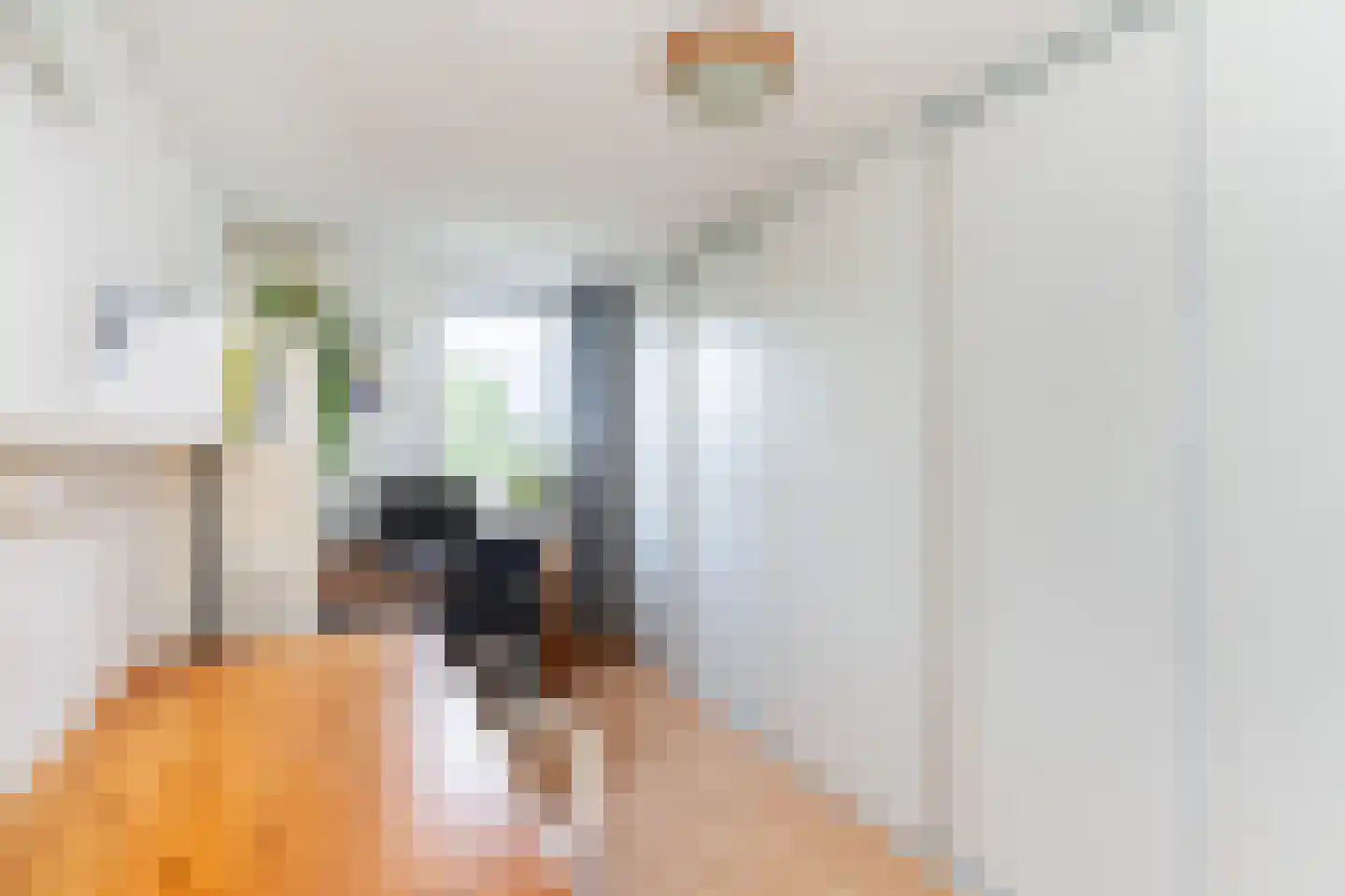 Zeelt 120 Alblasserdam thumbnail 26