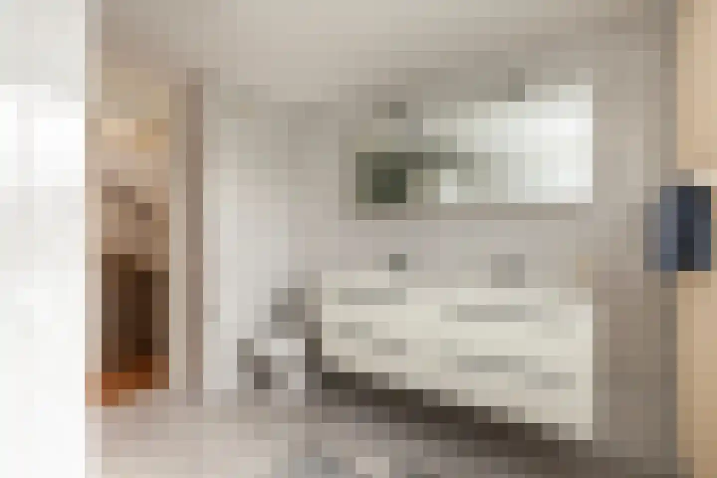 Zeelt 120 Alblasserdam thumbnail 32