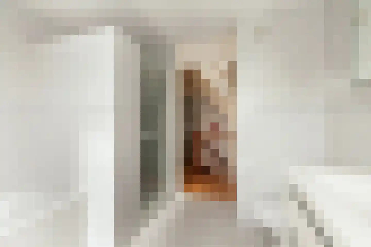 Zeelt 120 Alblasserdam thumbnail 33