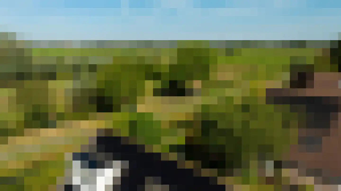 Zeelt 120 Alblasserdam thumbnail 38