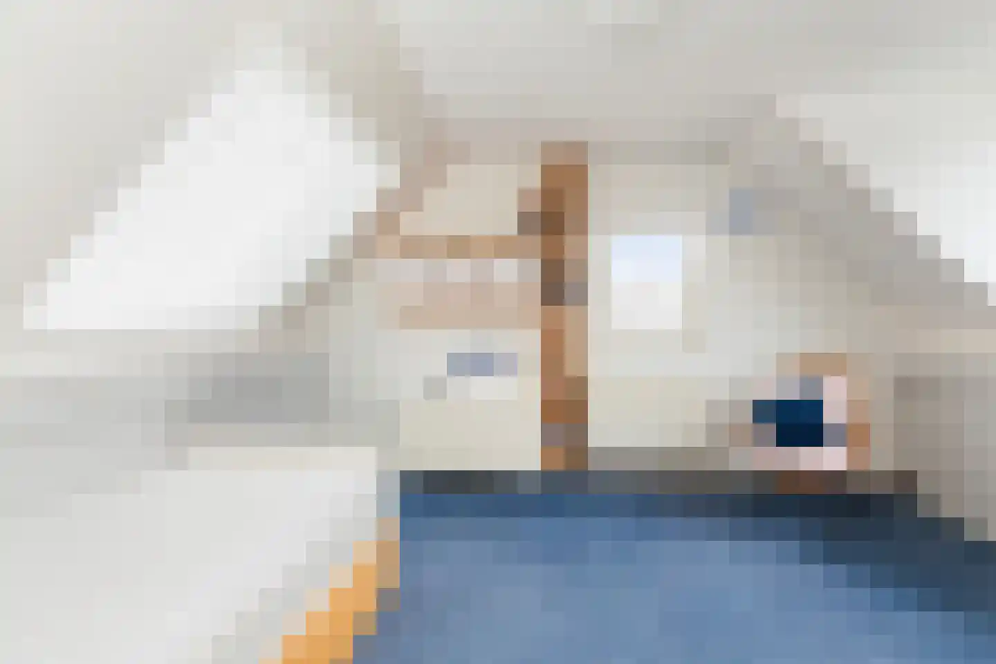 Zeelt 120 Alblasserdam thumbnail 39