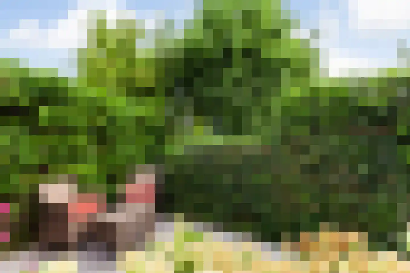 Zeelt 120 Alblasserdam thumbnail 44