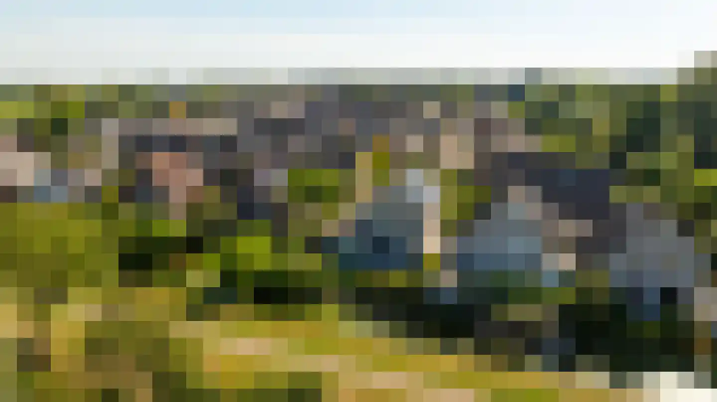 Zeelt 120 Alblasserdam thumbnail 47