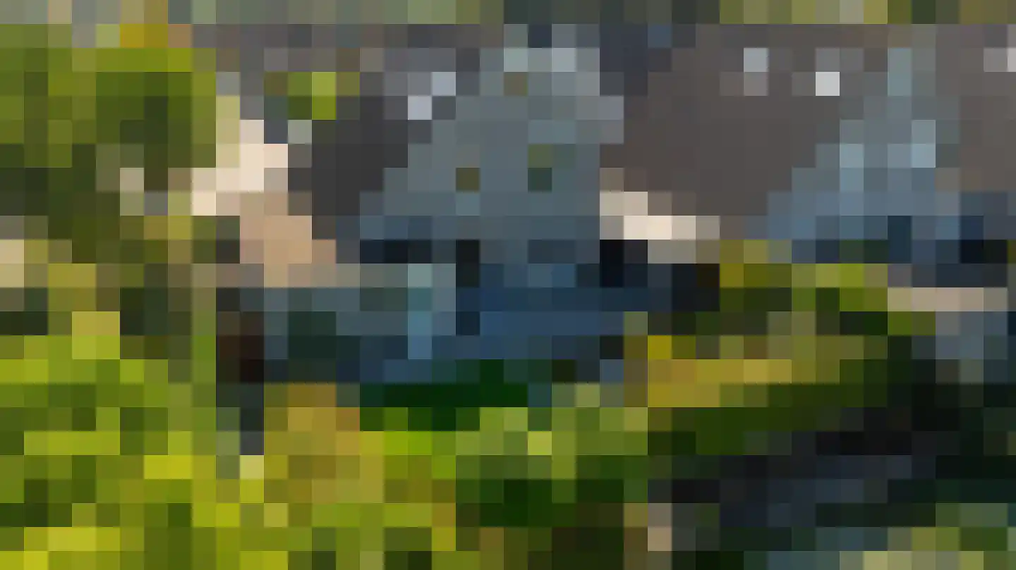 Zeelt 120 Alblasserdam thumbnail 48