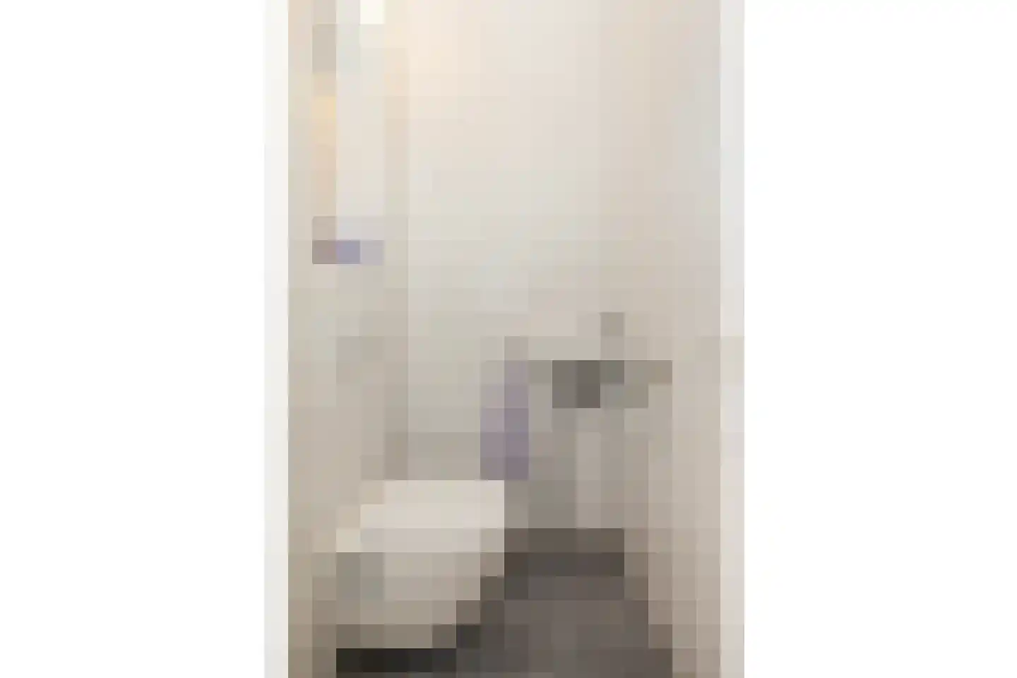 Zeelt 120 Alblasserdam thumbnail 5