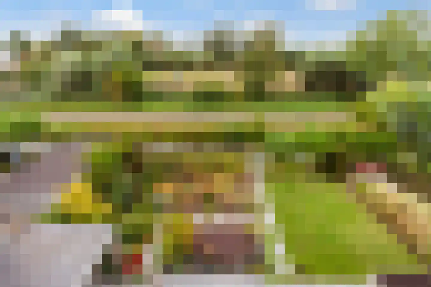 Zeelt 120 Alblasserdam thumbnail 50
