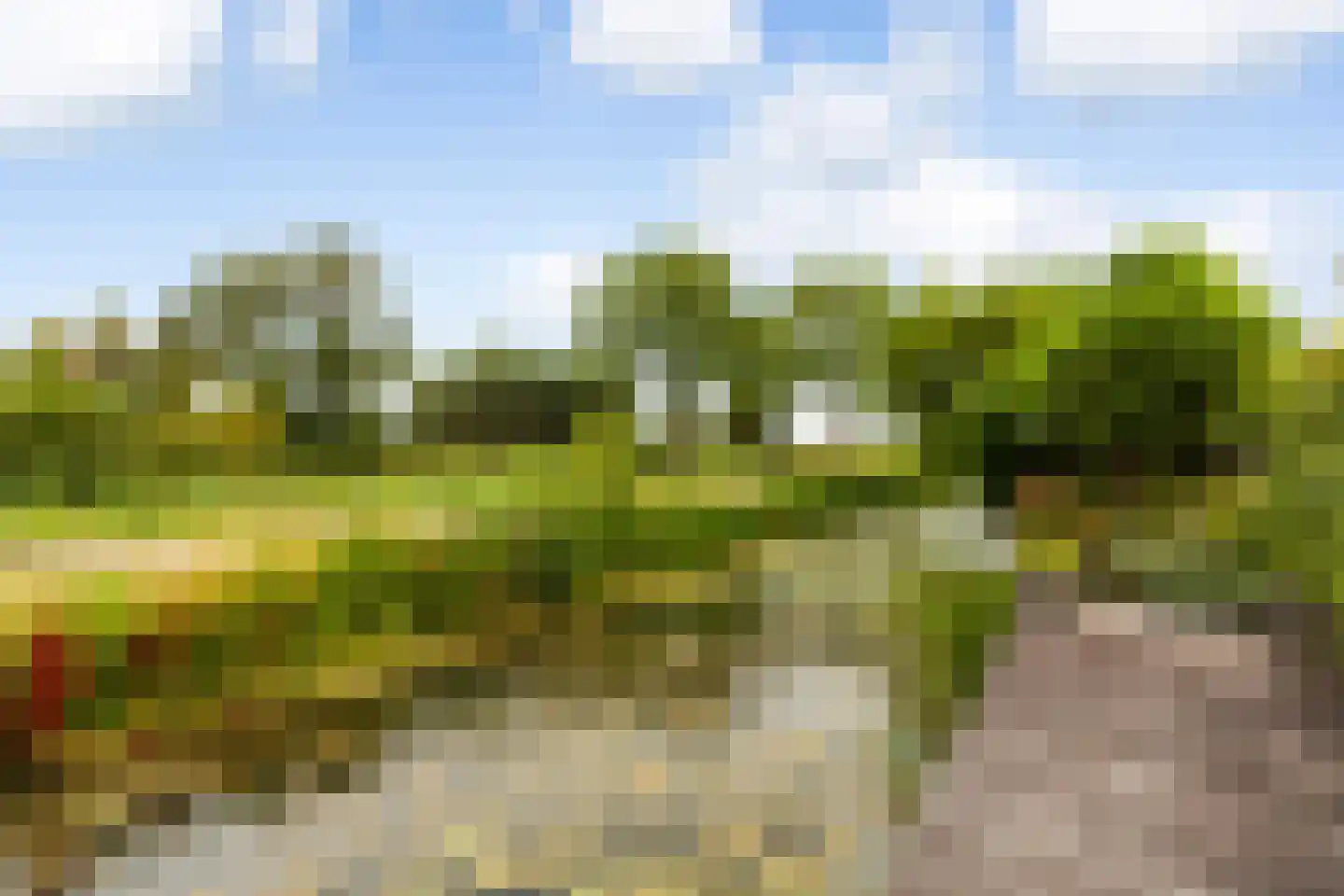 Zeelt 120 Alblasserdam thumbnail 51