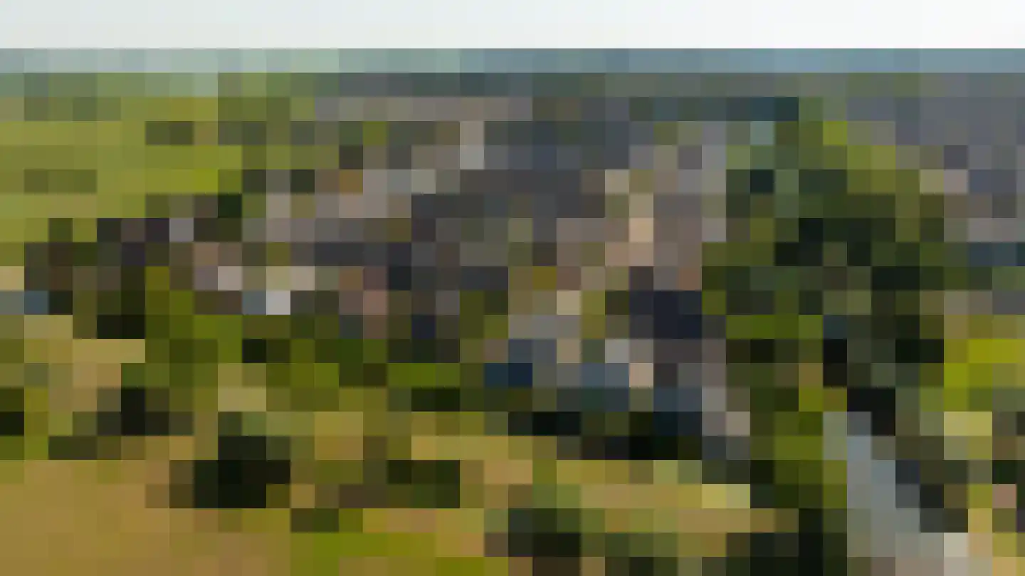 Zeelt 120 Alblasserdam thumbnail 53