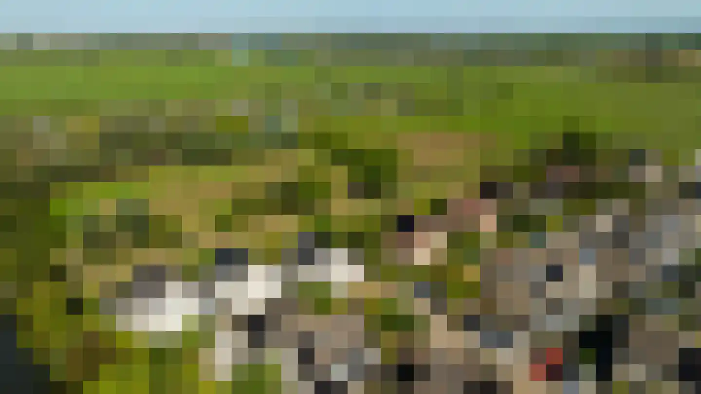 Zeelt 120 Alblasserdam thumbnail 56