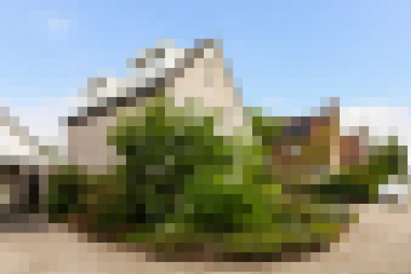 Zeelt 120 Alblasserdam thumbnail 59