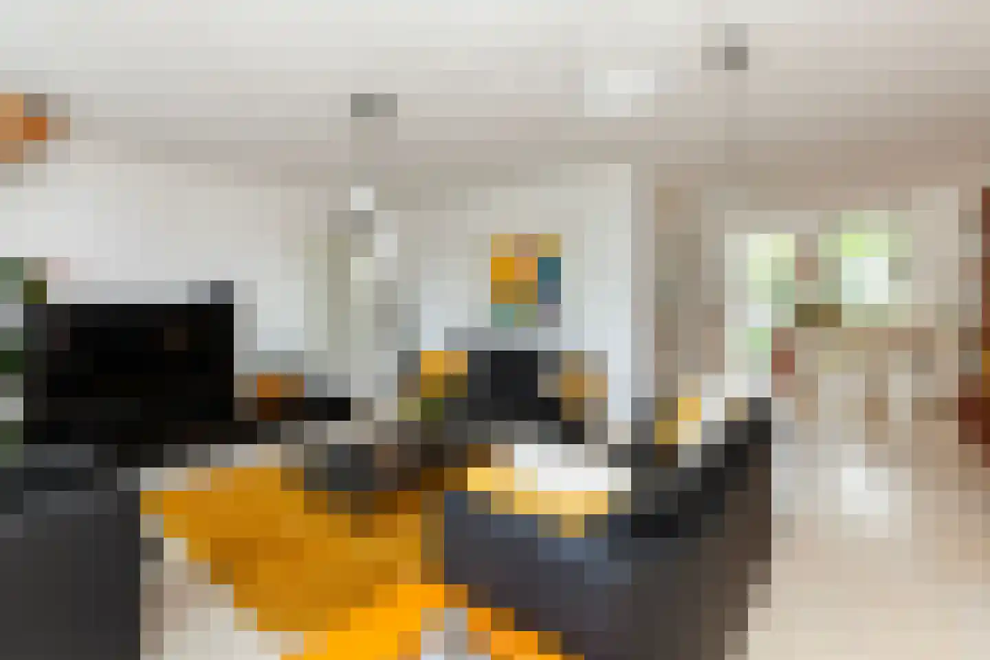 Zeelt 120 Alblasserdam thumbnail 6