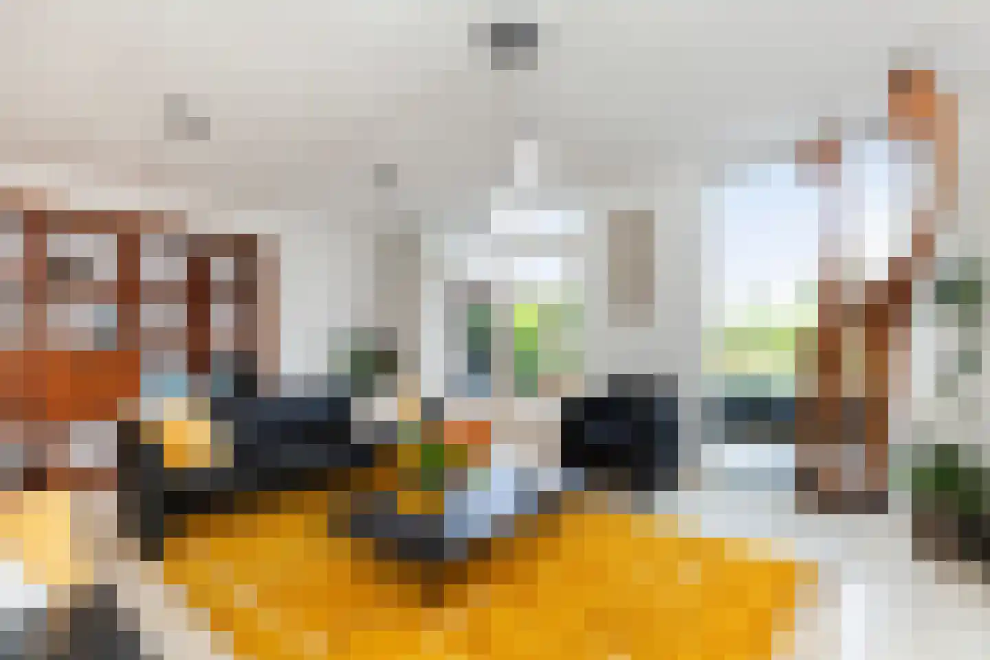 Zeelt 120 Alblasserdam thumbnail 9