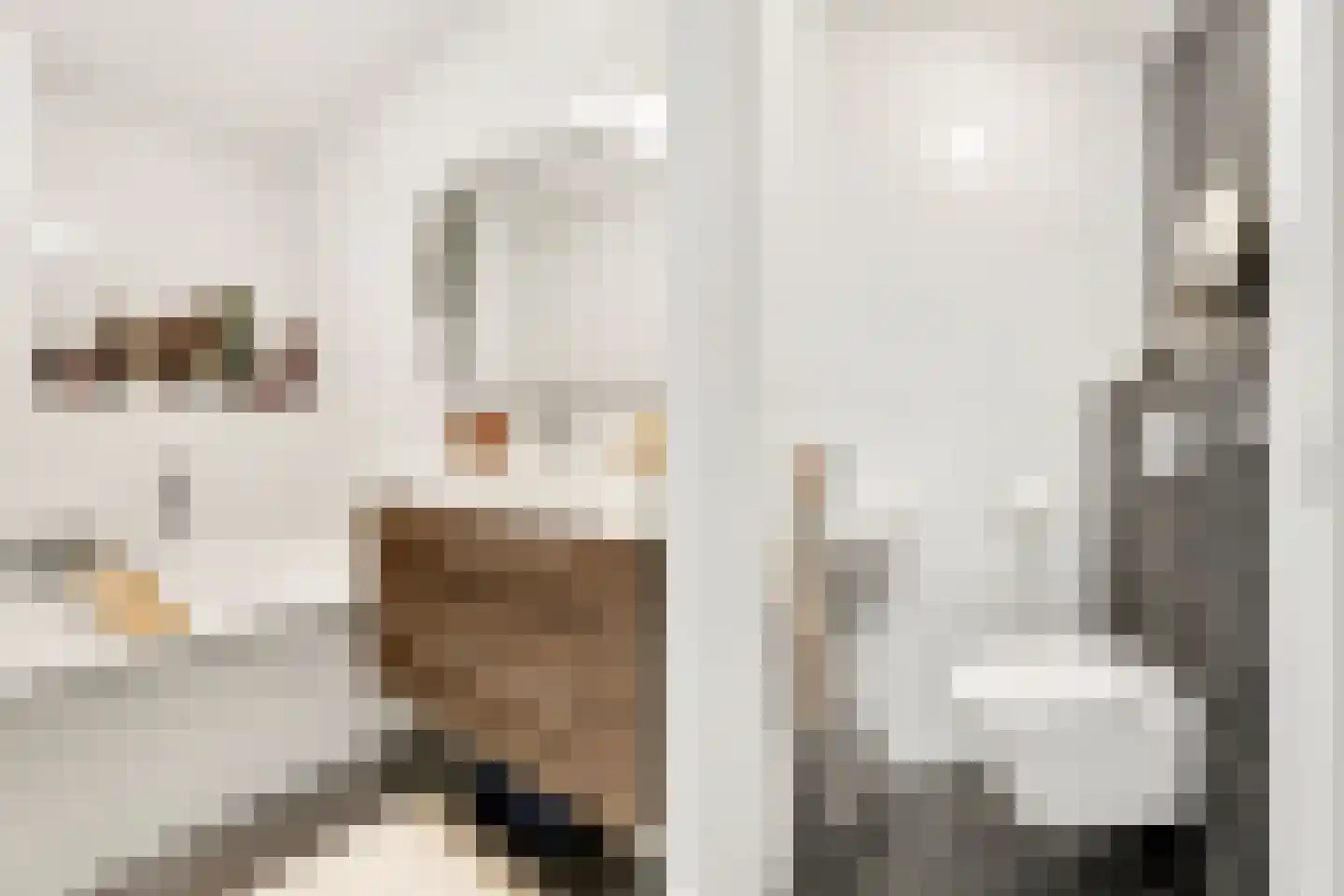 Zeelt 13 Amersfoort thumbnail 11