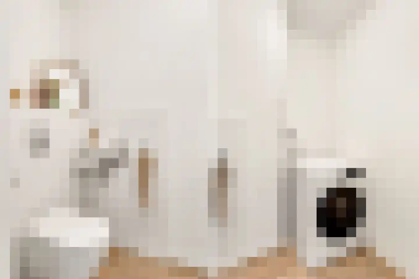 Zeelt 13 Amersfoort thumbnail 18
