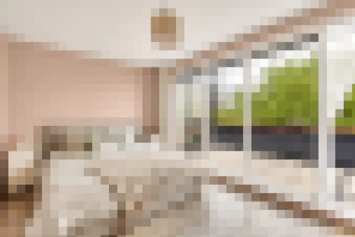 Zeelt 13 Amersfoort thumbnail 19