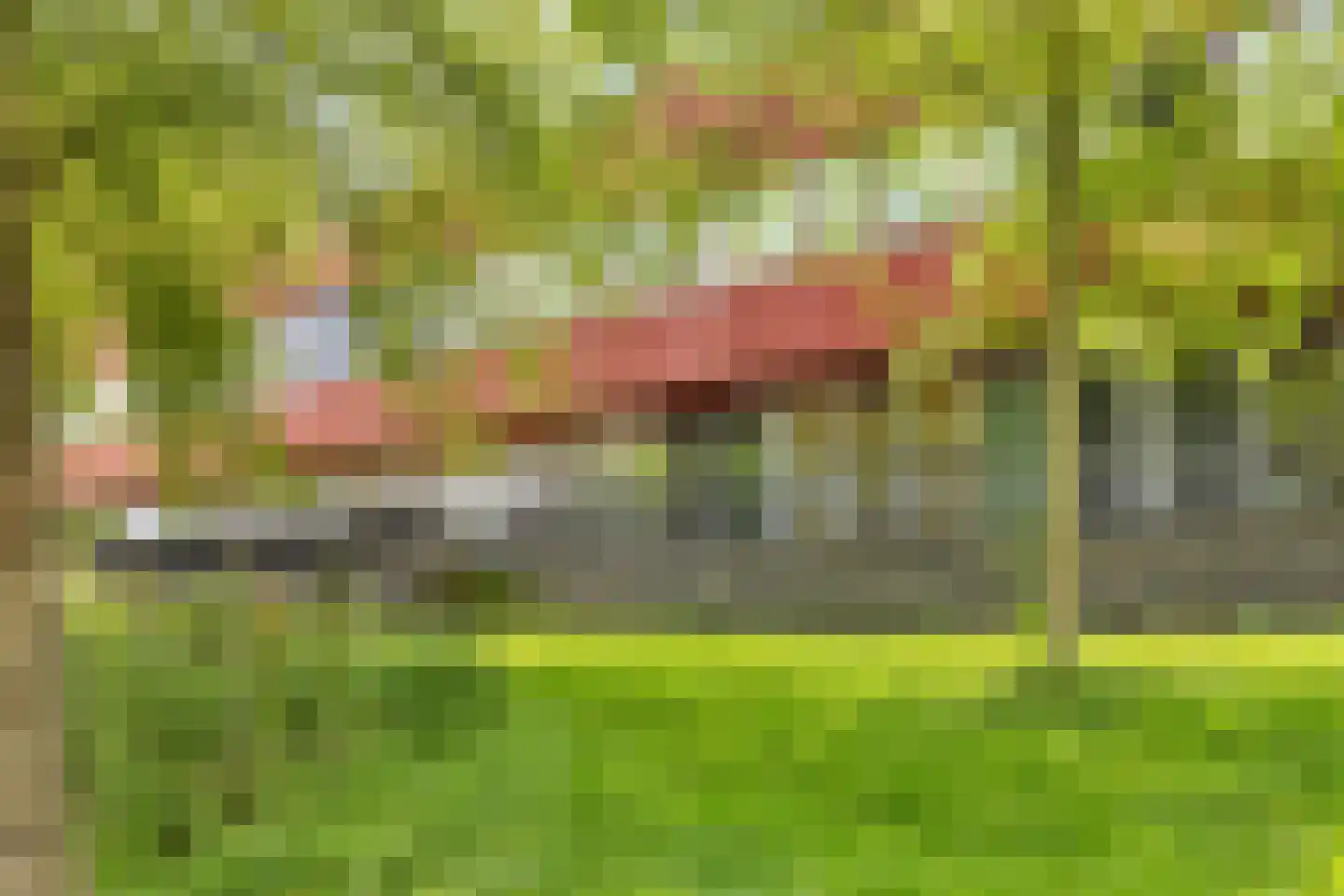 Zeelt 13 Amersfoort thumbnail 27