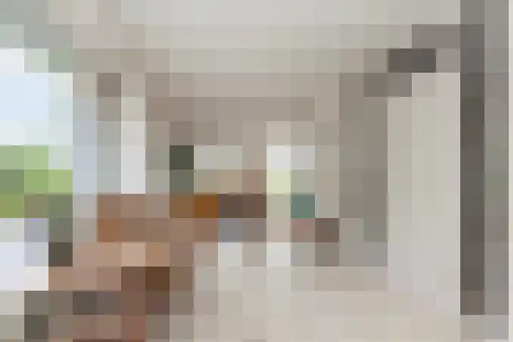Zeelt 134 Alblasserdam thumbnail 10