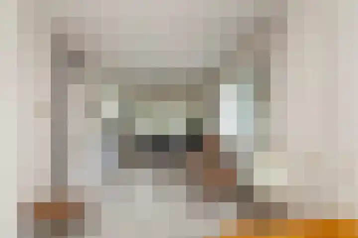 Zeelt 134 Alblasserdam thumbnail 11